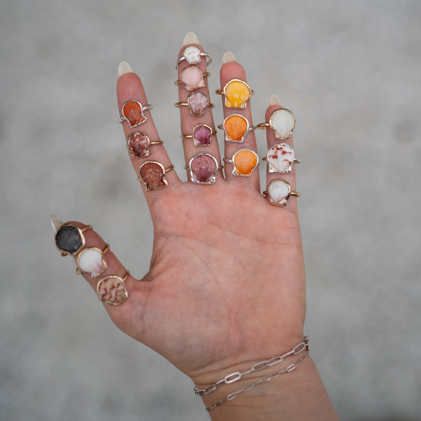 Sterling Silver Calico Scallop Stacking Ring Set - Size 7