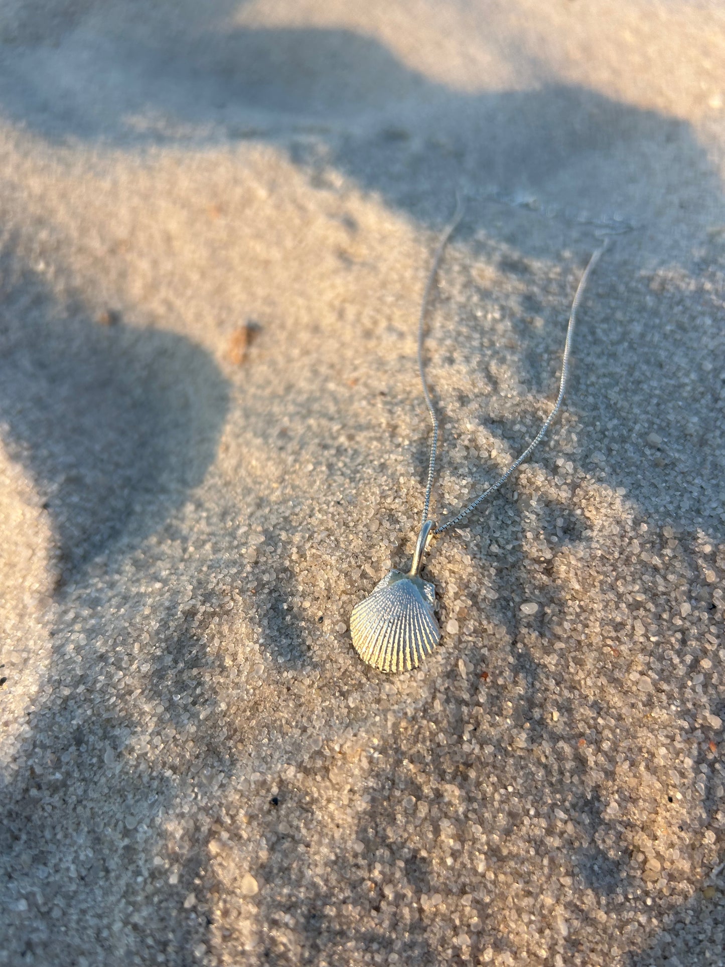 Shell Necklace