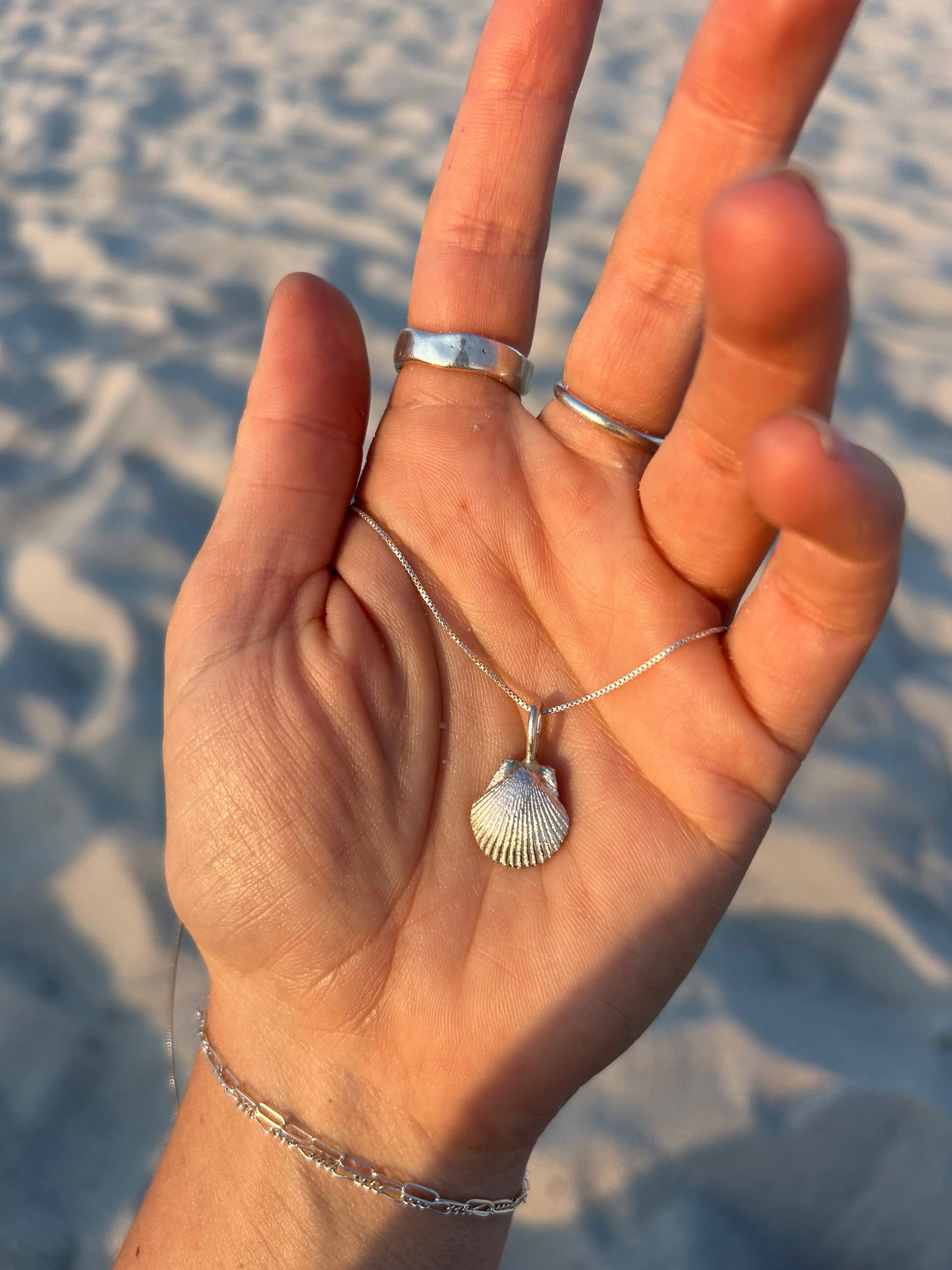 Shell Necklace