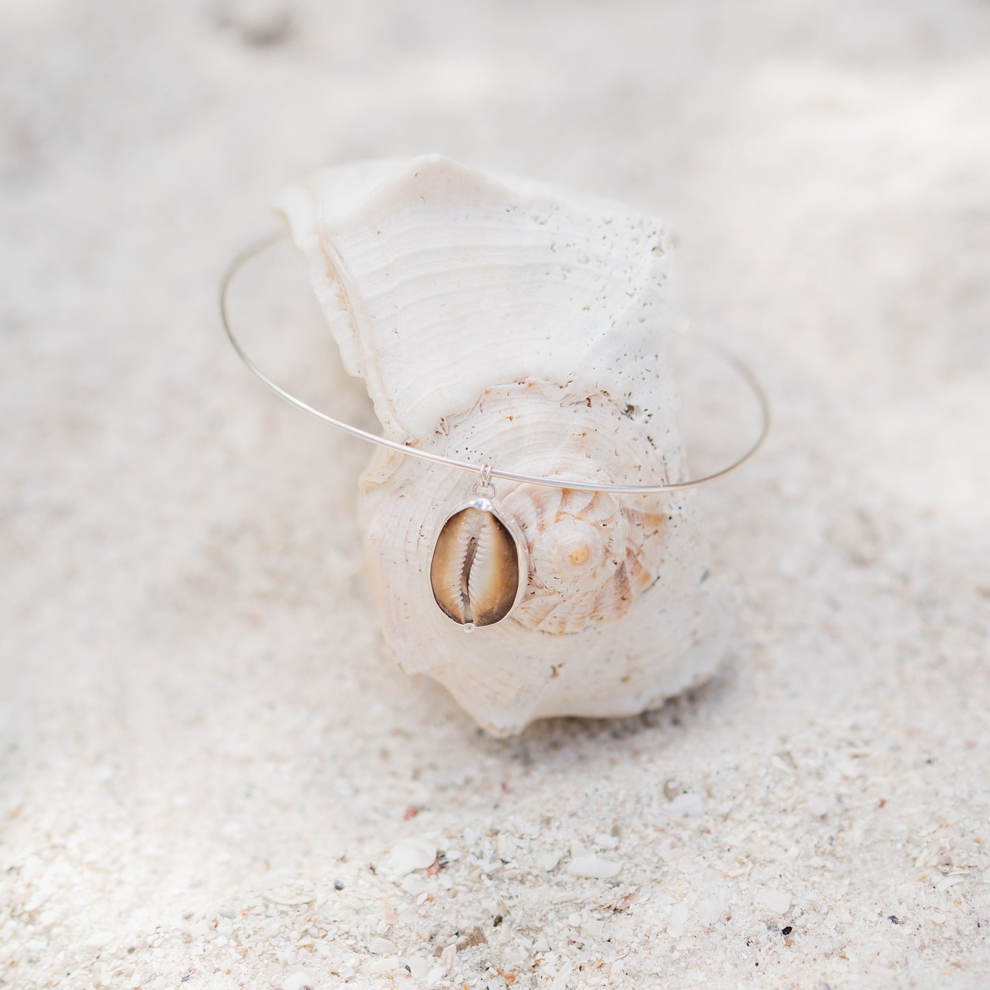 Cowrie Shell Choker Necklace