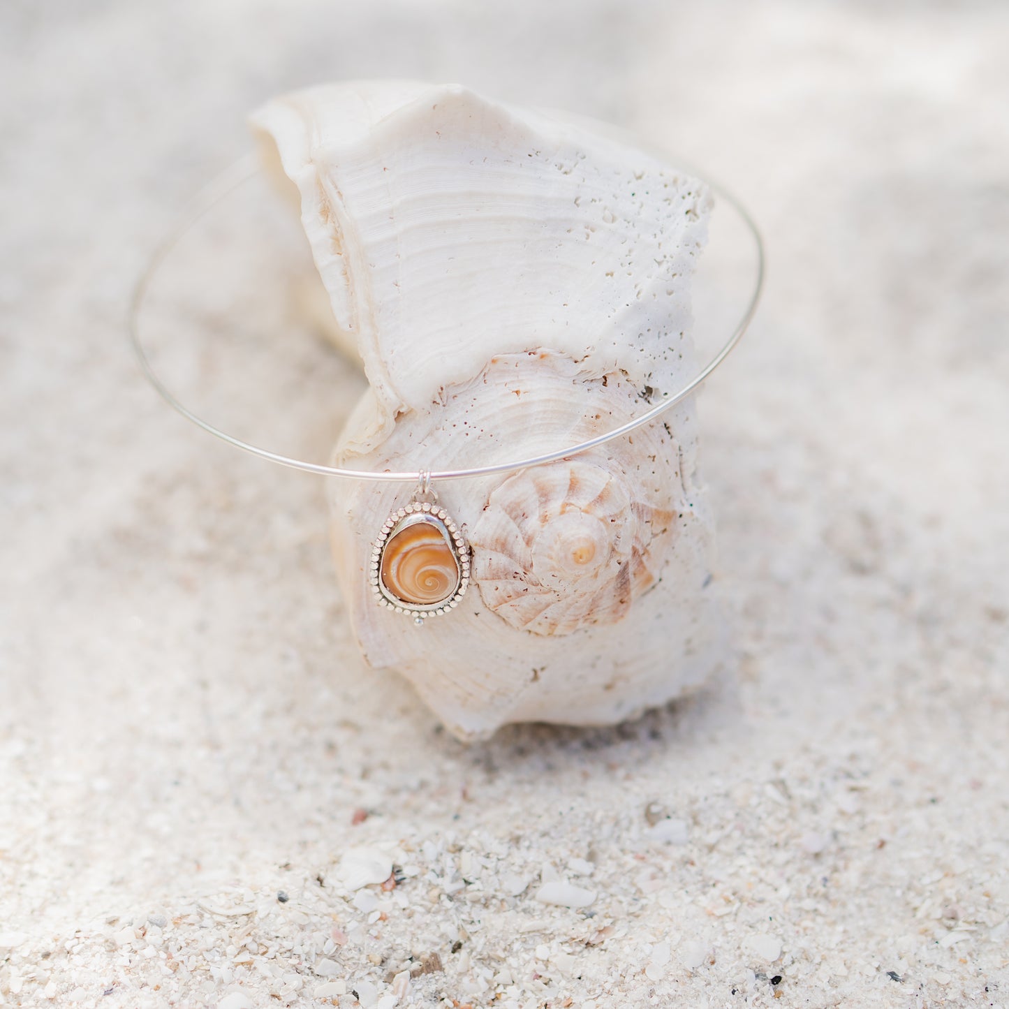 Moon Snail Choker Necklace