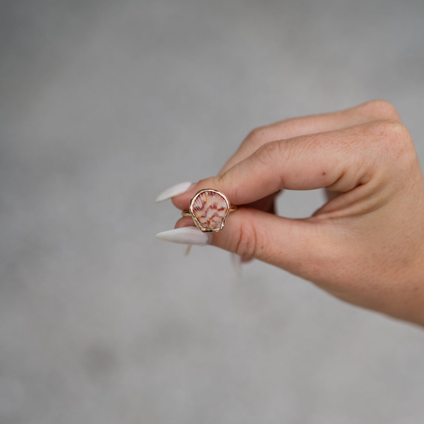 14K Gold Filled Calico Scallop Ring- Size 7.75