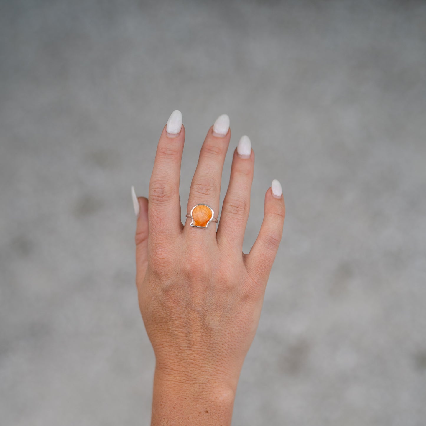 Sterling Silver Calico Scallop Ring- Size 6.25