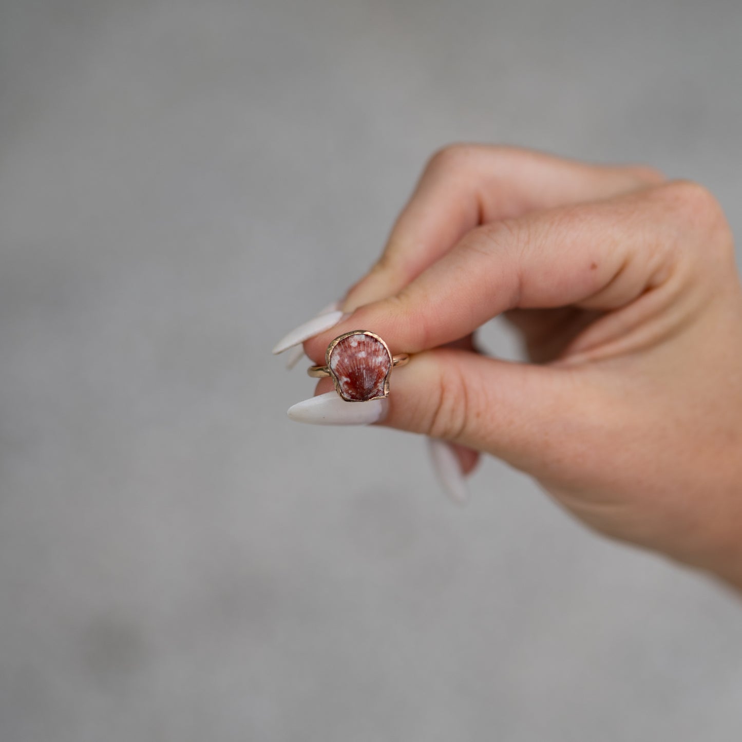 14K Gold Filled Calico Scallop Ring- Size 6.75