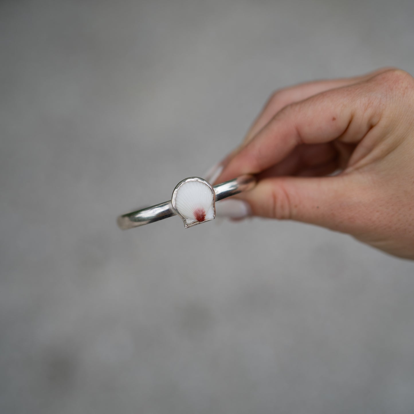 Calico Scallop Sterling Silver Cuff