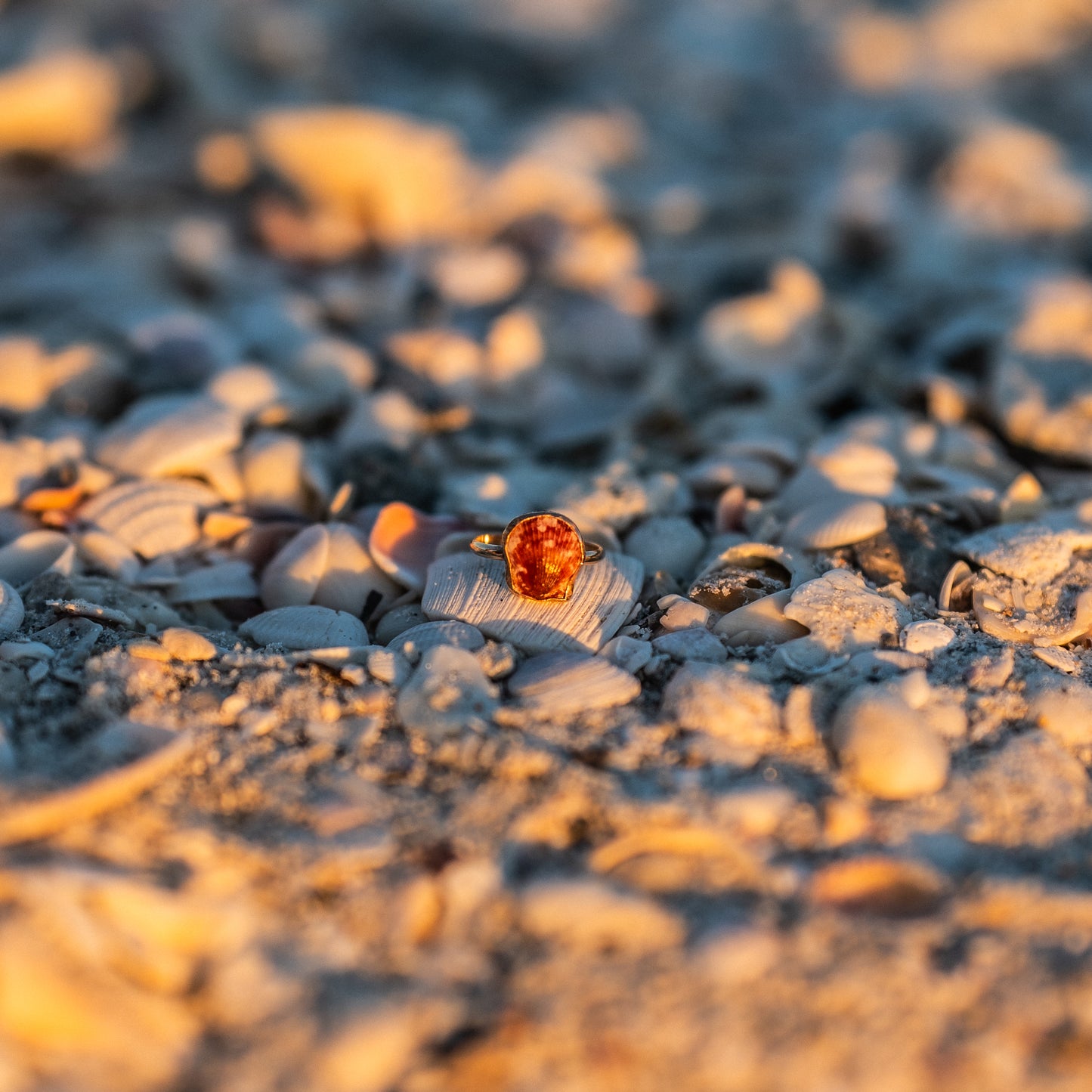 14K Gold Filled Calico Scallop Ring- Size 6.75