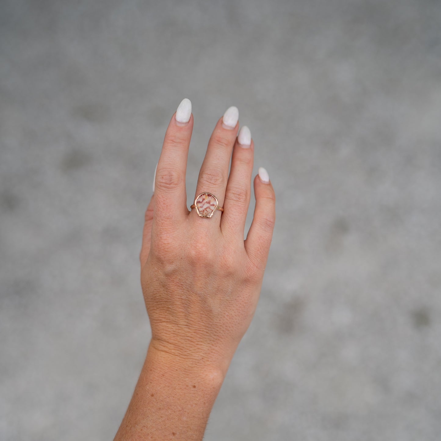 14K Gold Filled Calico Scallop Ring- Size 7.75