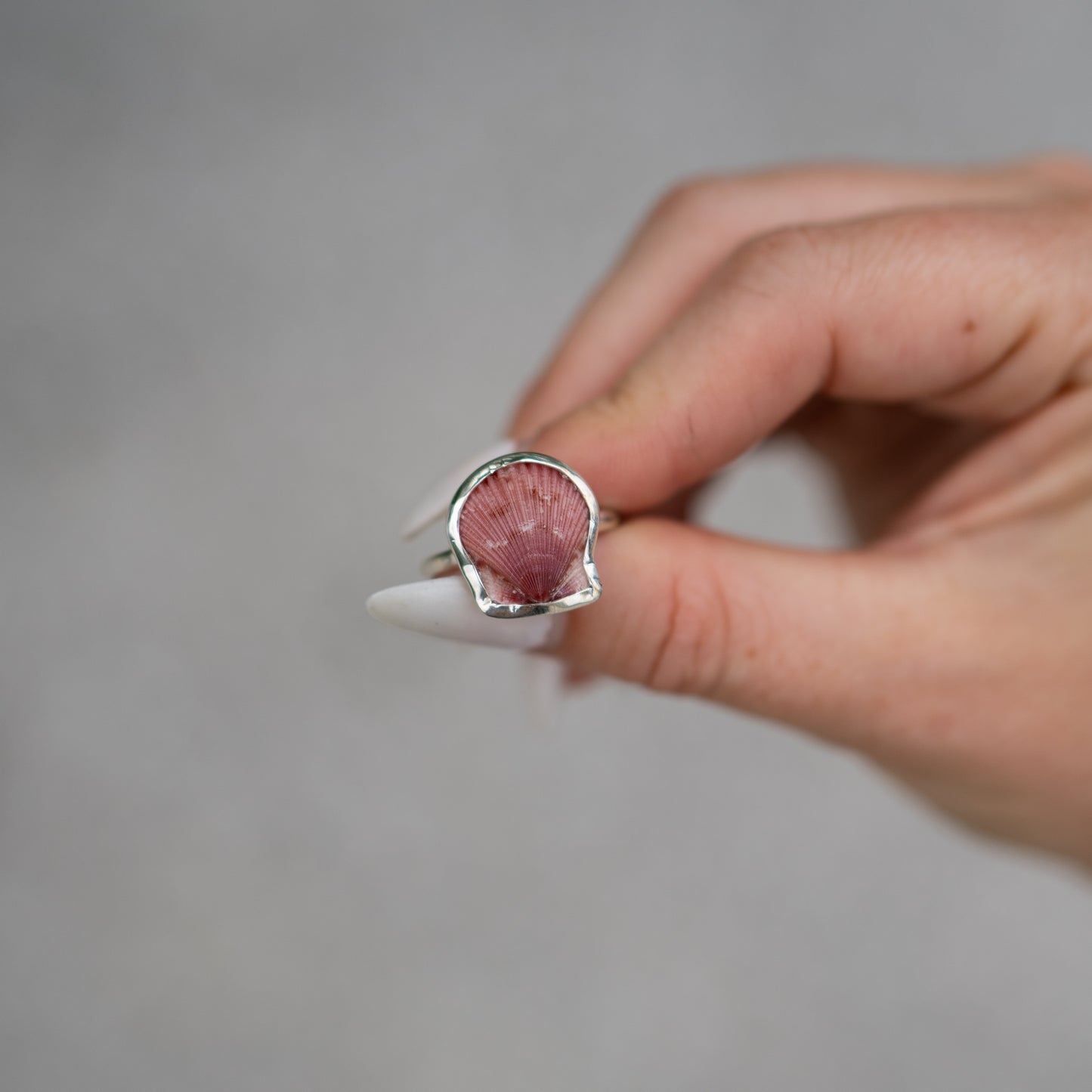 Sterling Silver Calico Scallop Ring- Size 8