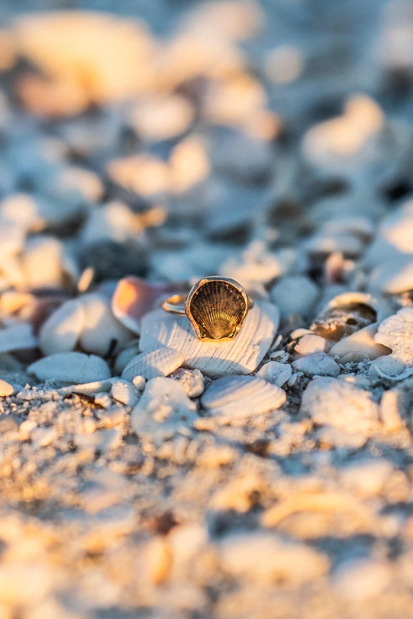 14K Gold Filled Calico Scallop Ring- Size 8