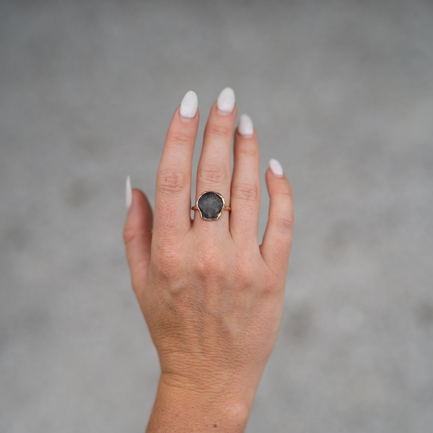 14K Gold Filled Calico Scallop Ring- Size 8