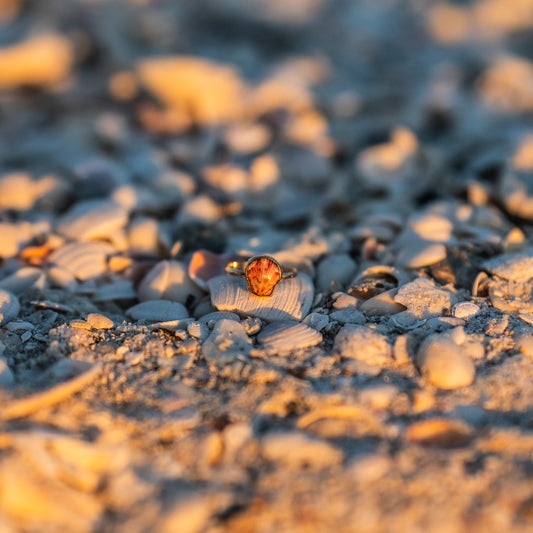 14K Gold Filled Calico Scallop Ring- Size 9