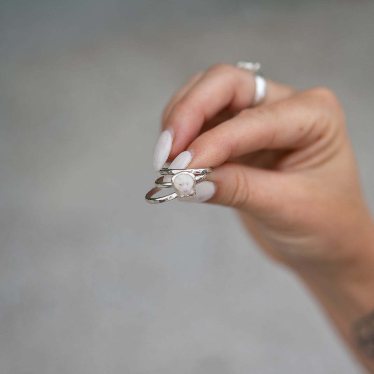 Sterling Silver Calico Scallop Stacking Ring Set - Size 7