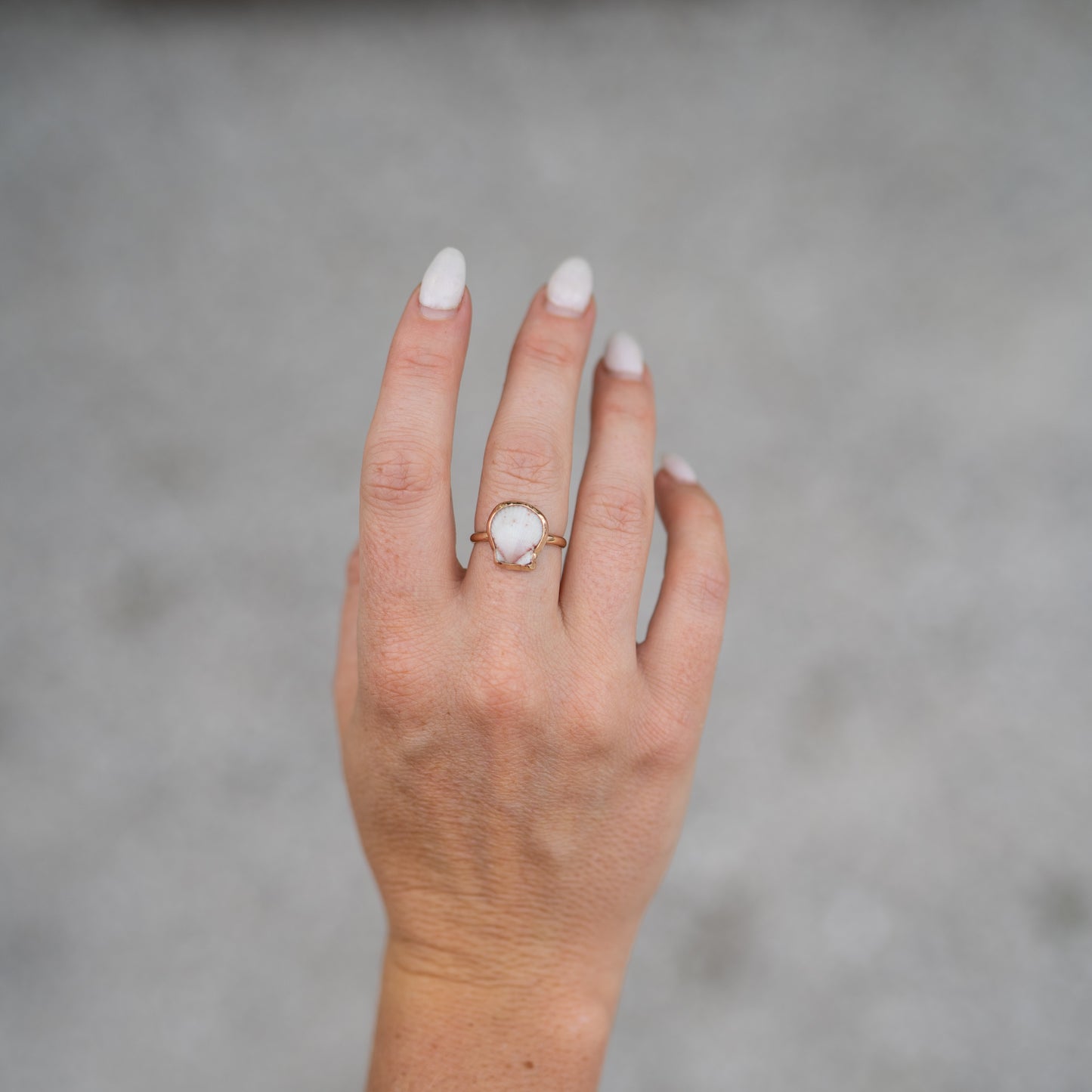 14K Gold Filled Calico Scallop Ring- Size 6.5