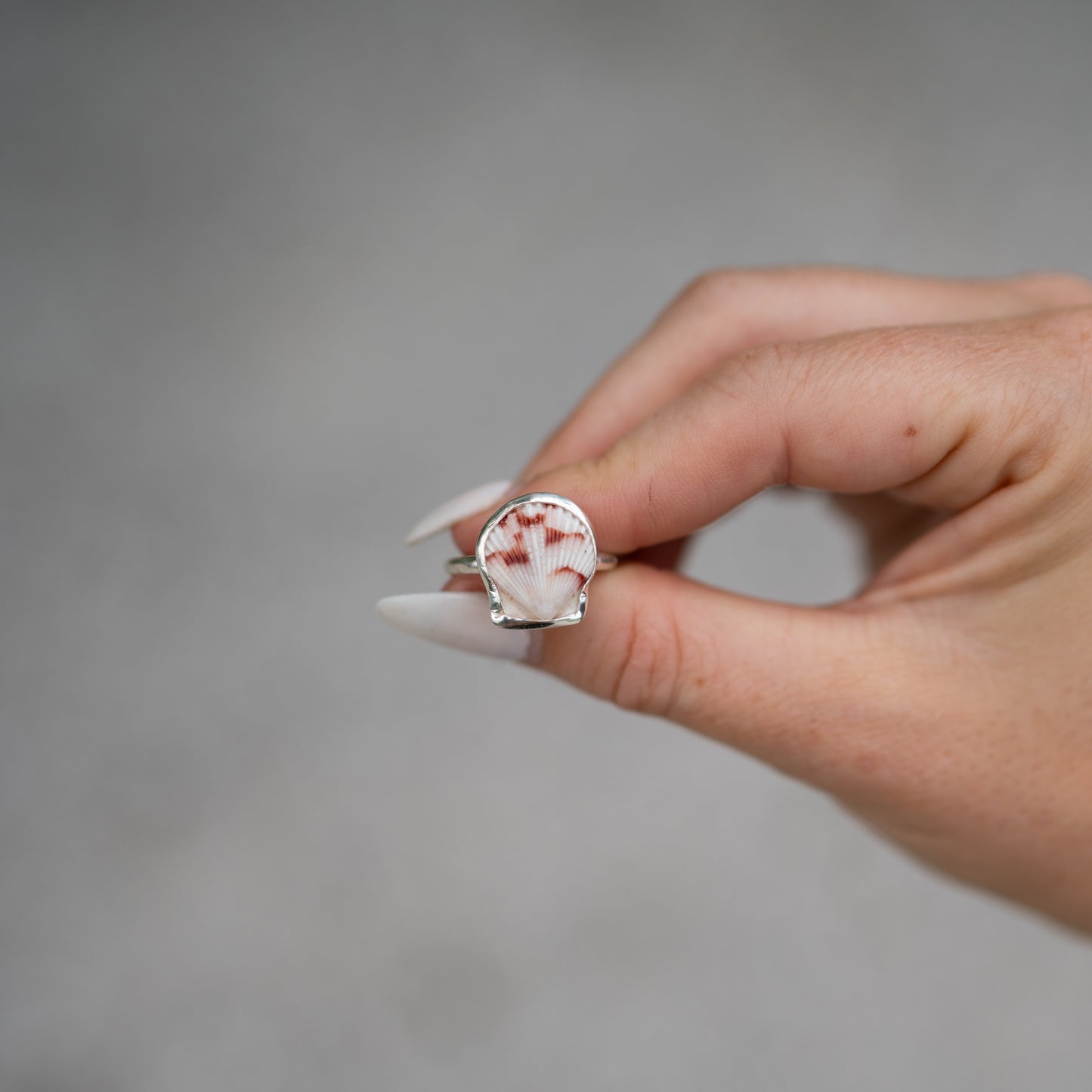 Sterling Silver Calico Scallop Ring- Size 7.5