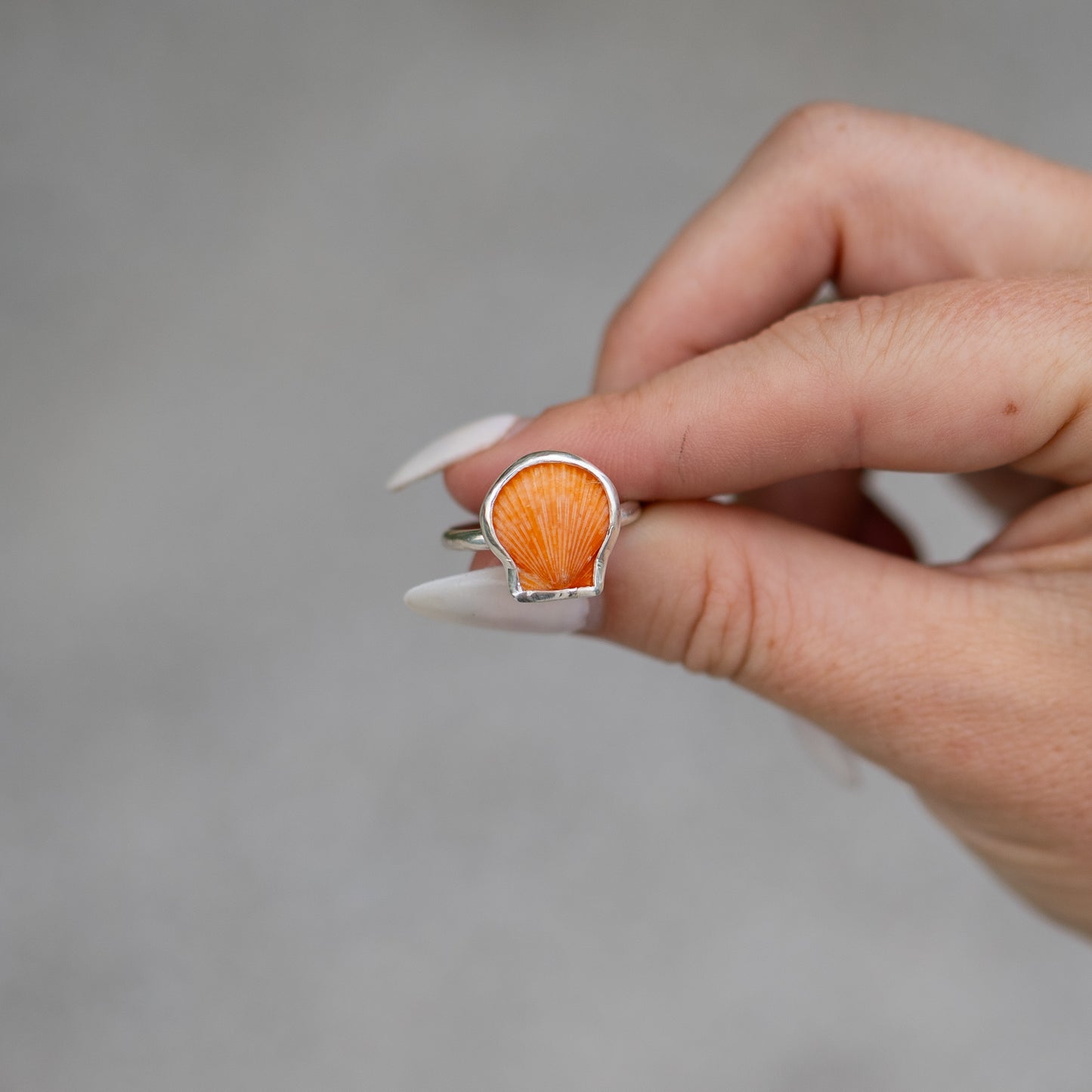 Sterling Silver Calico Scallop Ring- Size 7