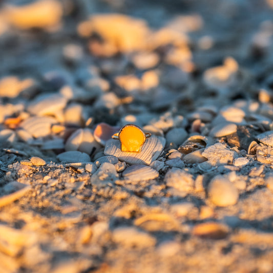 14K Gold Filled Calico Scallop Ring- Size 8.25