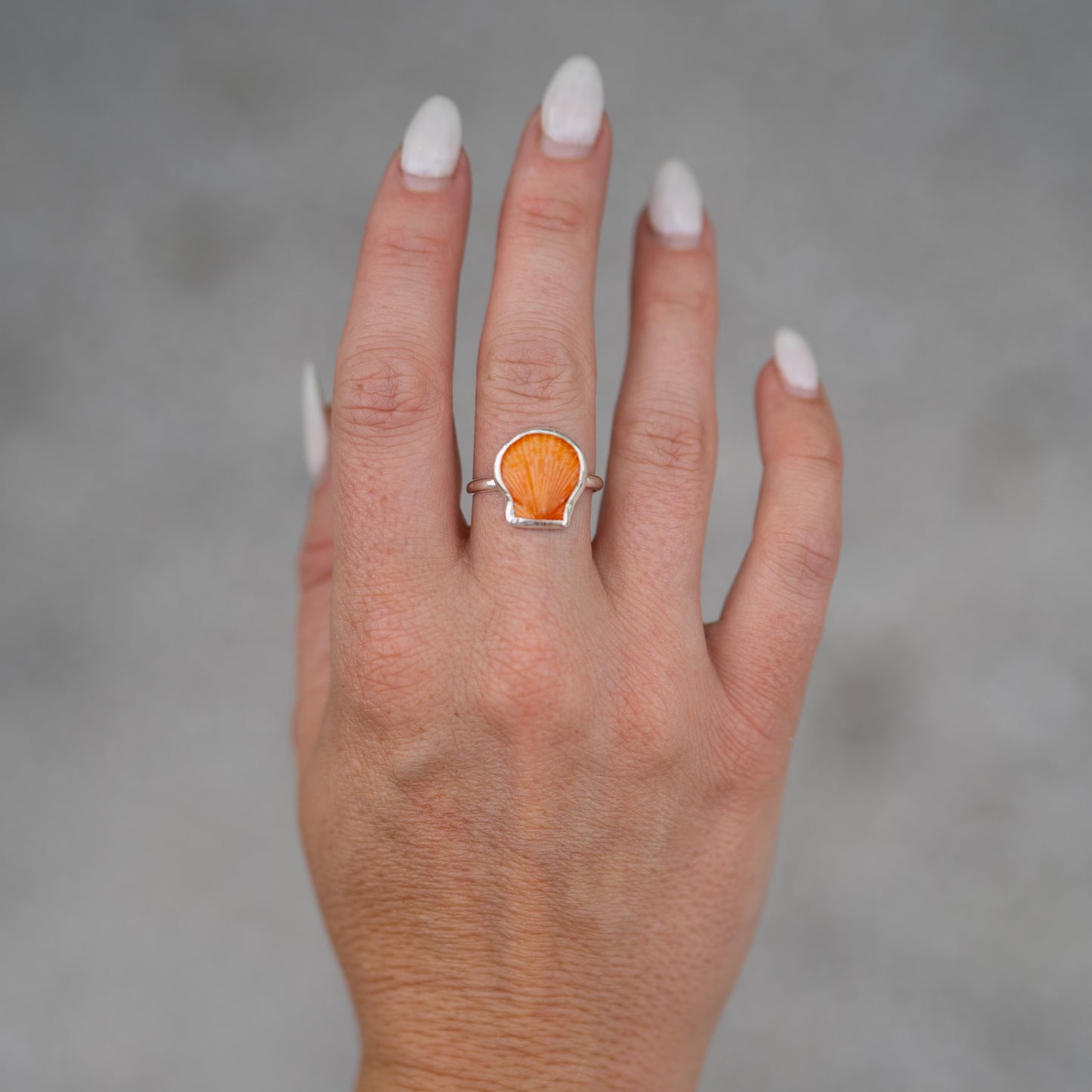 Sterling Silver Calico Scallop Ring- Size 7