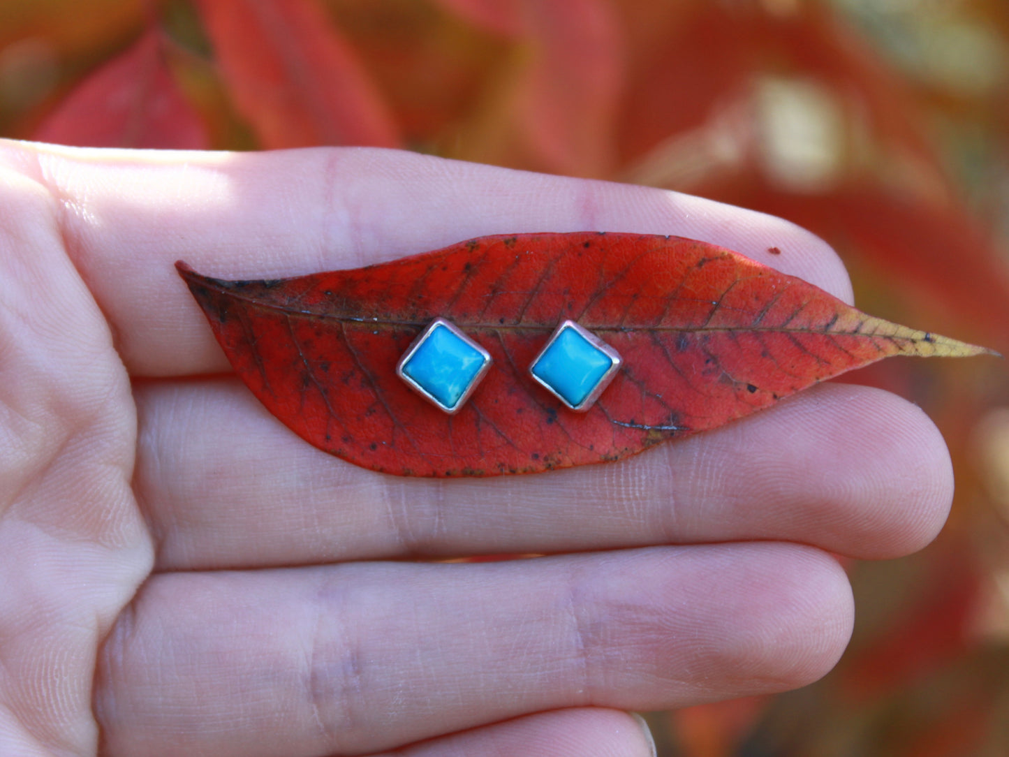 Kingman Turquoise Stud Earrings