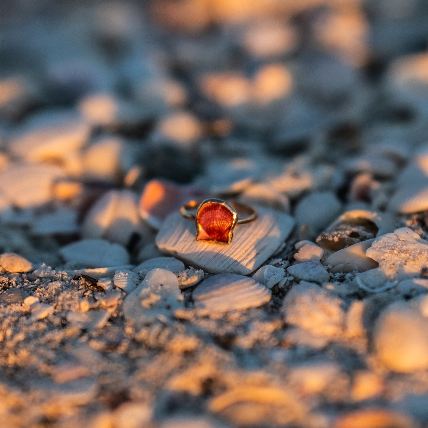 14K Gold Filled Calico Scallop Ring- Size 6.75
