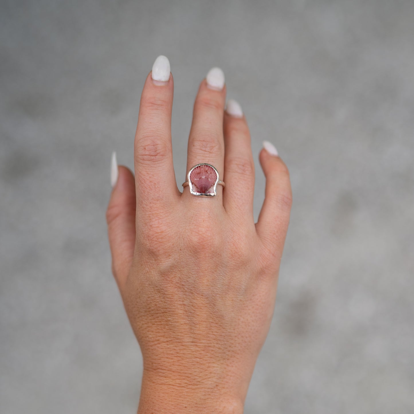 Sterling Silver Calico Scallop Ring- Size 8