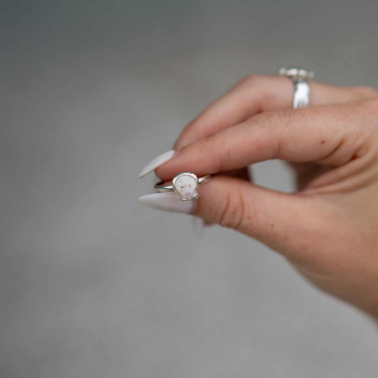 Sterling Silver Calico Scallop Stacking Ring Set - Size 7