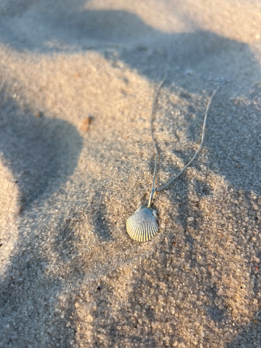 Shell Necklace