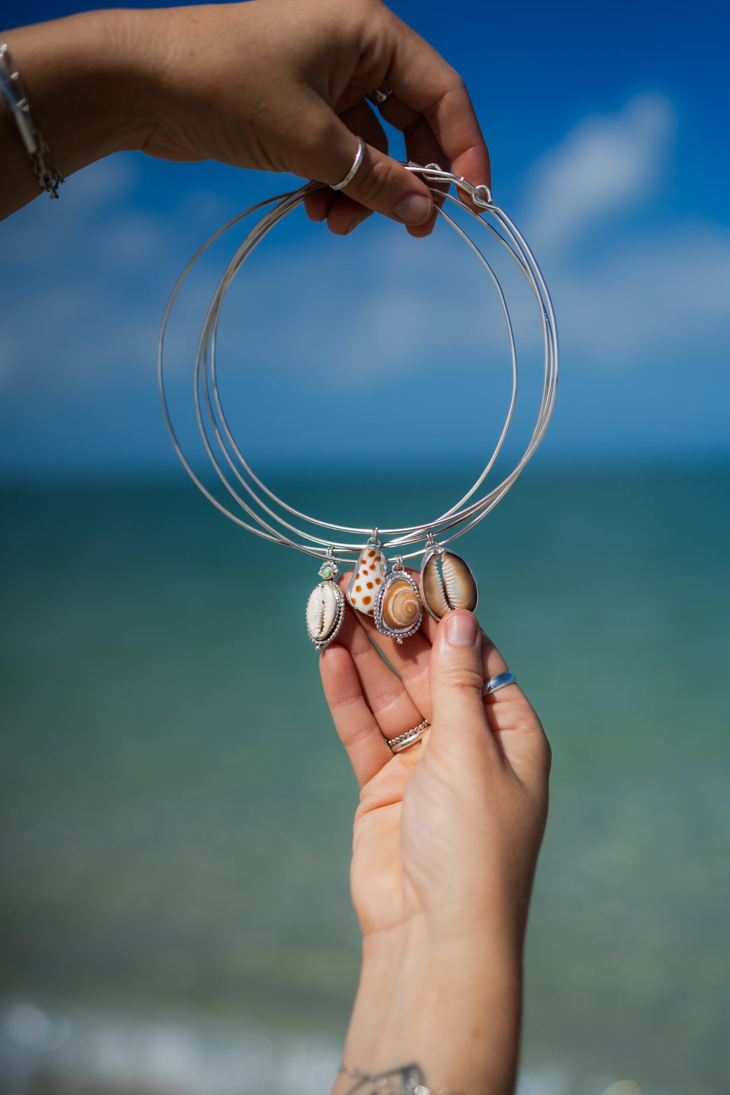 Junonia Shell Choker Necklace