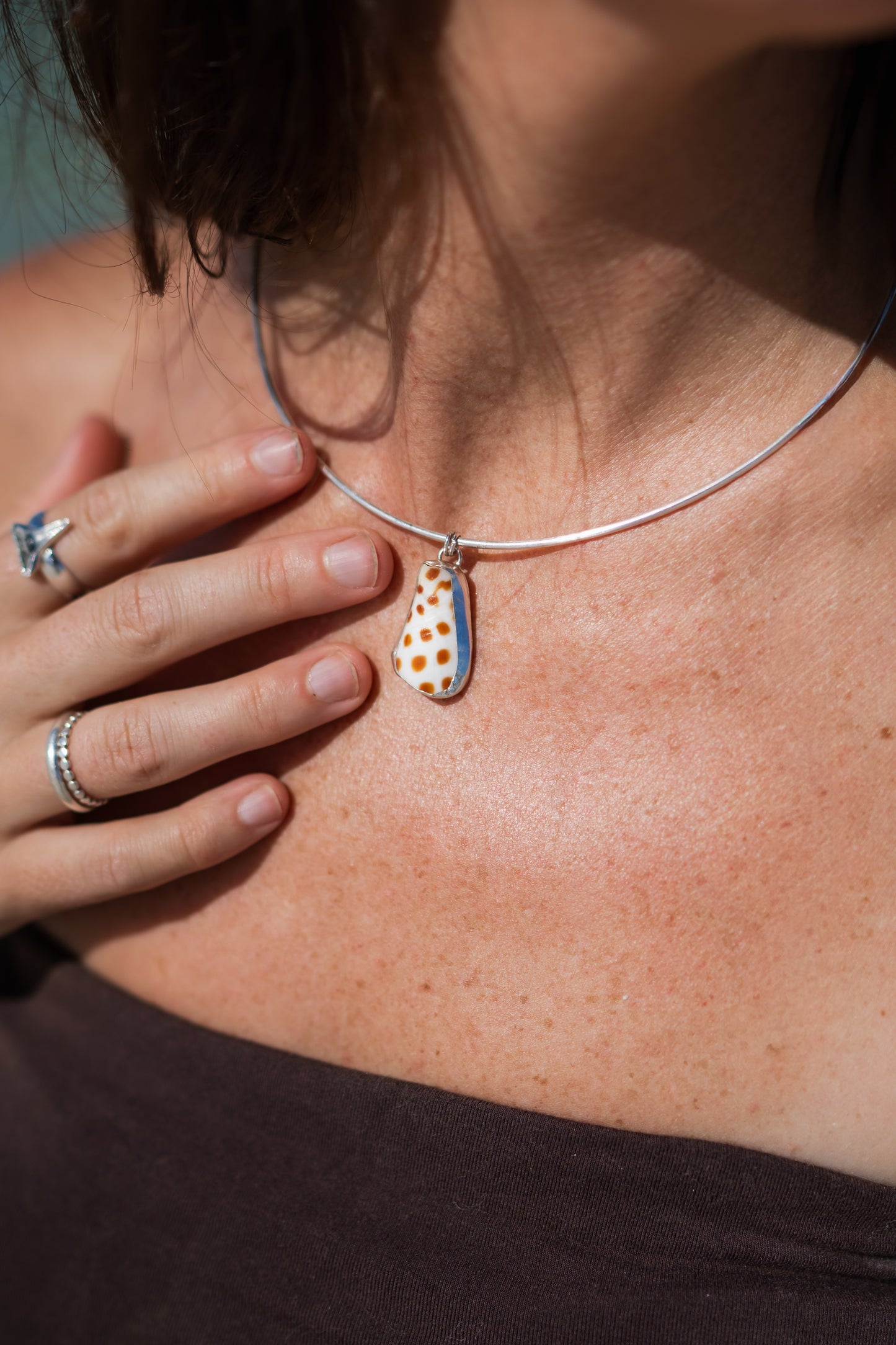 Junonia Shell Choker Necklace