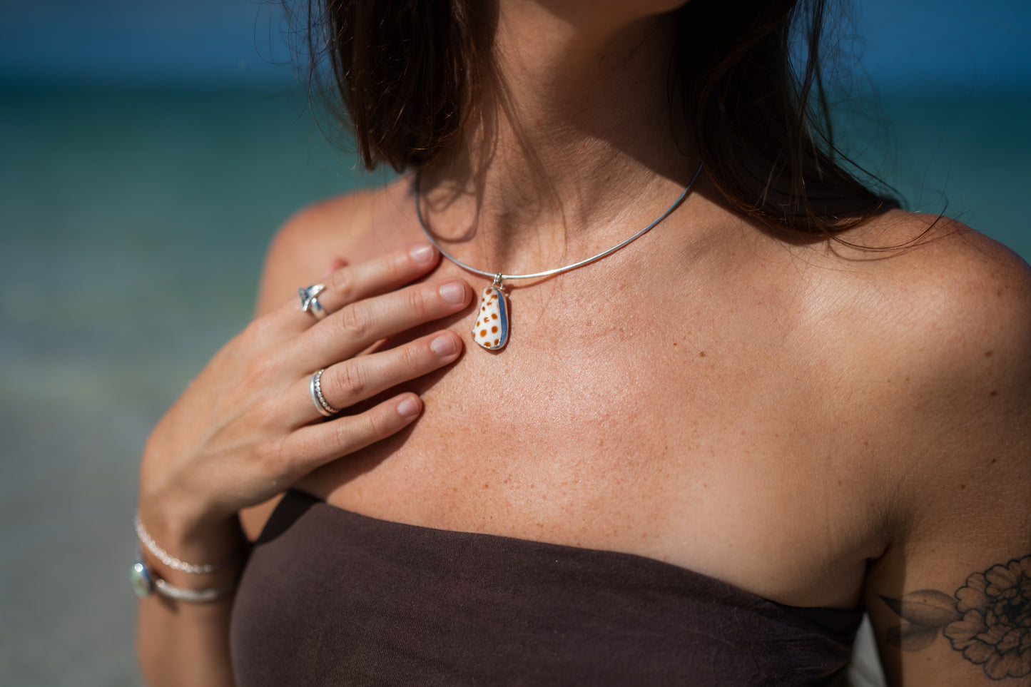 Junonia Shell Choker Necklace
