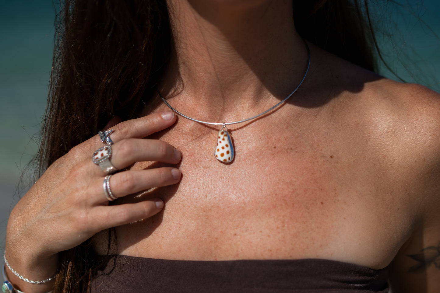 Junonia Shell Choker Necklace