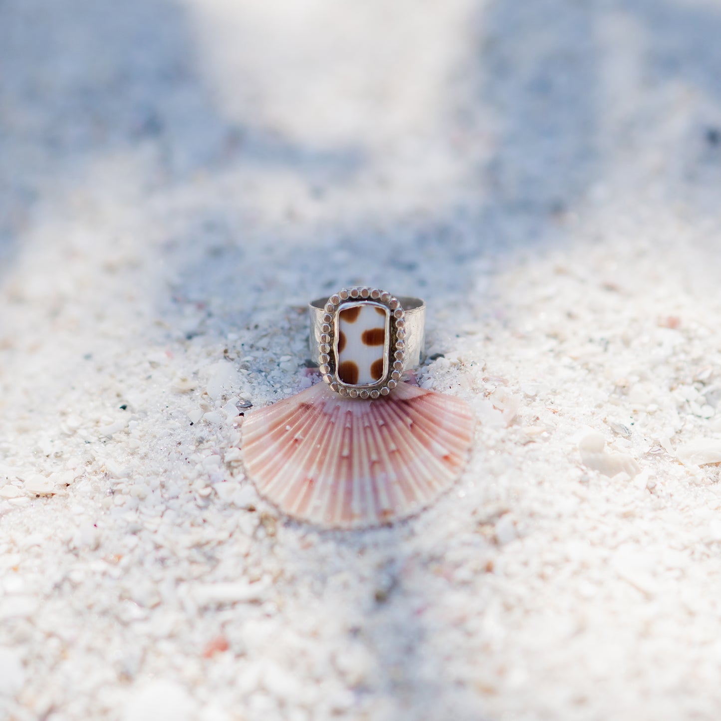 Junonia Shell Ring - size 6.5