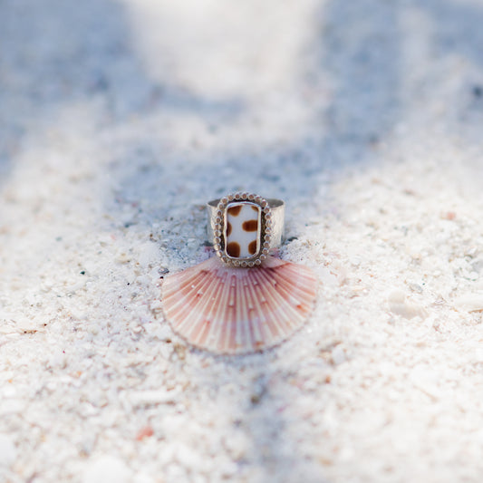 Junonia Shell Ring - size 6.5