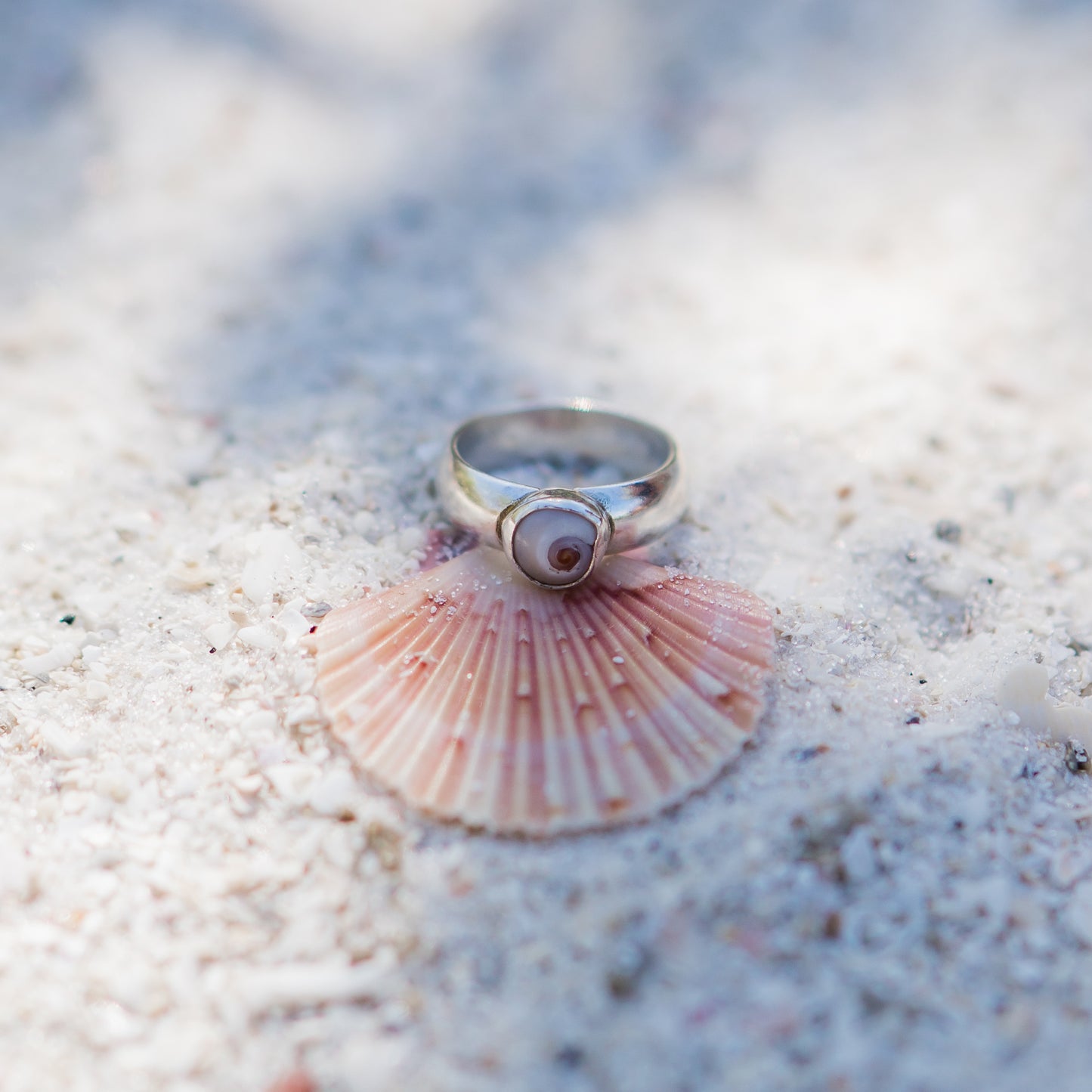 Moon Snail Ring - size 6.25