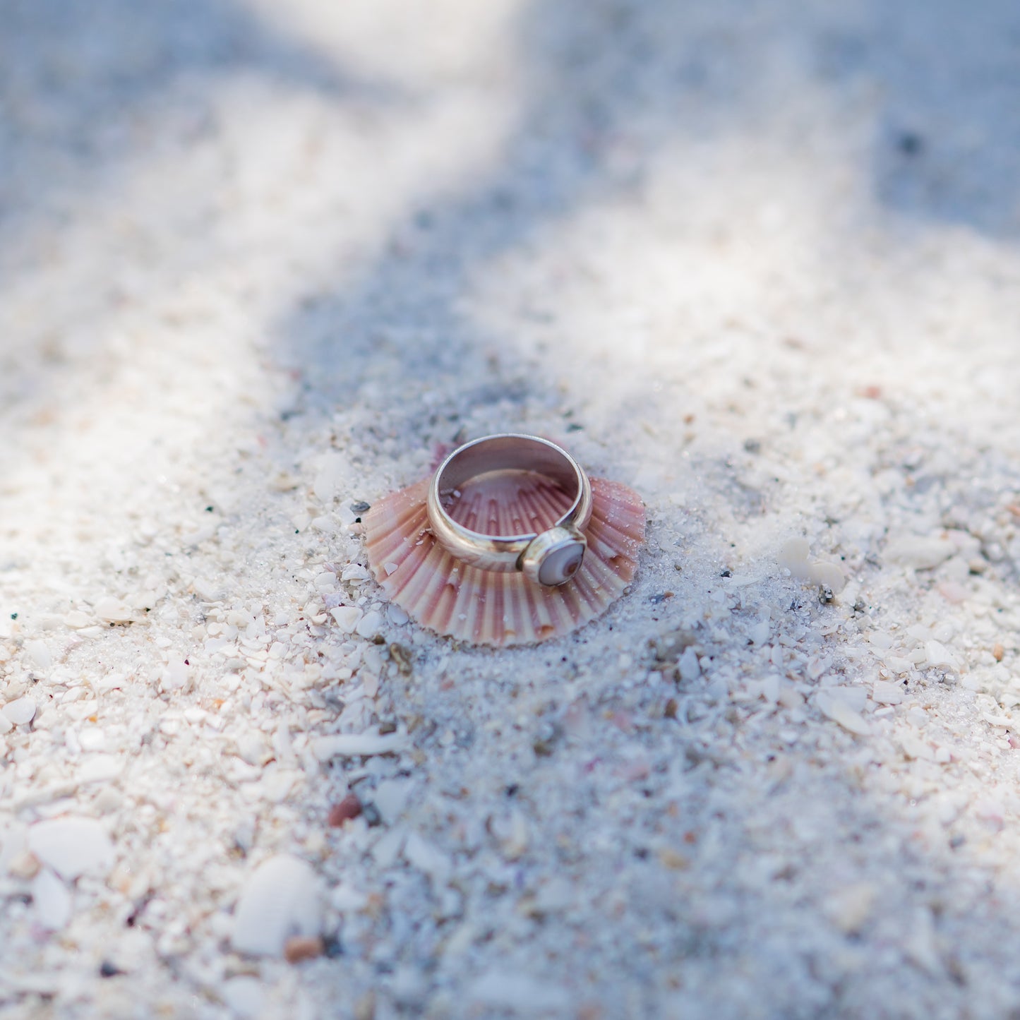 Moon Snail Ring - size 6.25