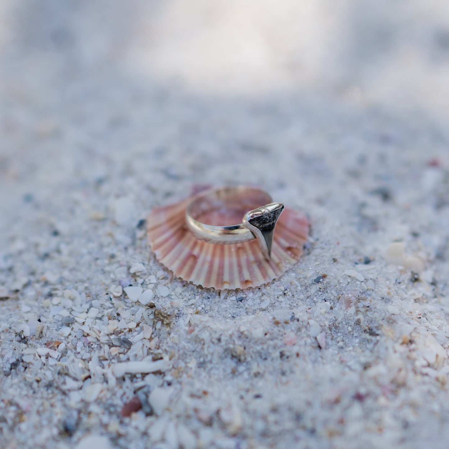 Fossilized Shark Tooth Ring - size 7.25
