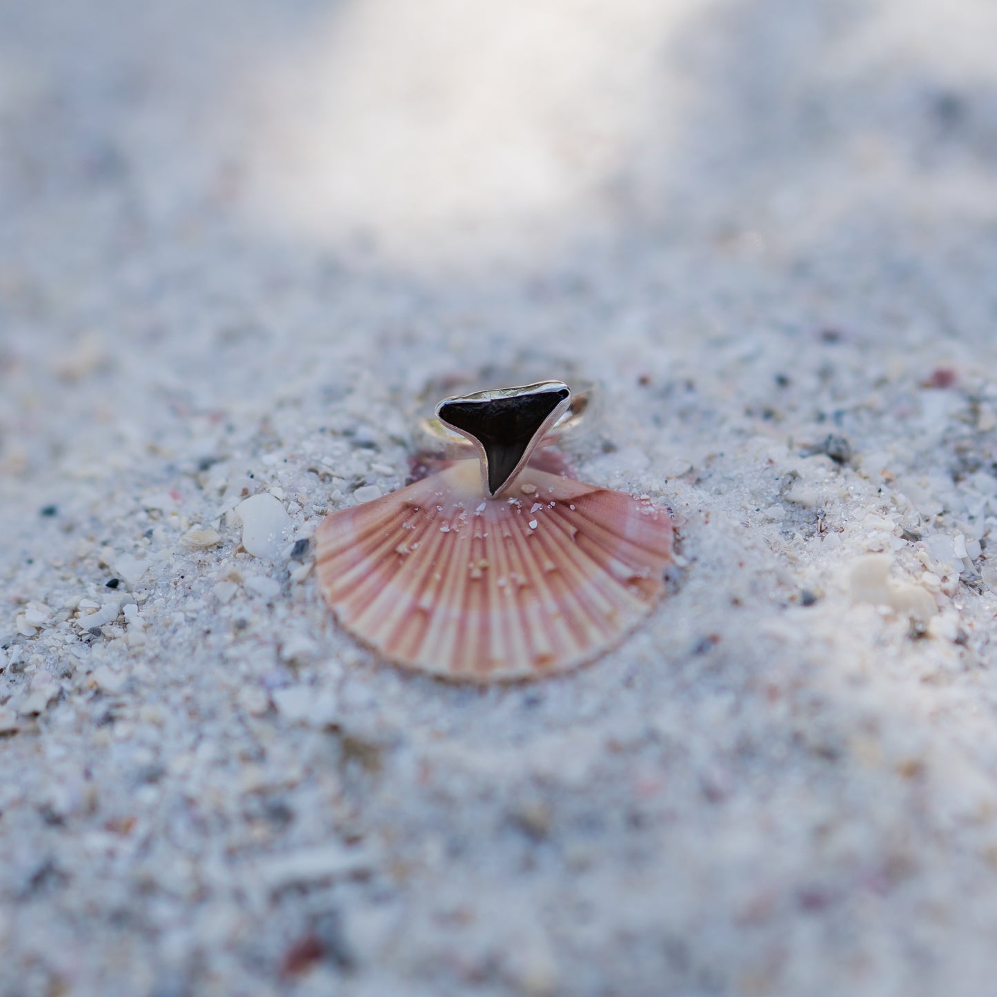 Fossilized Shark Tooth Ring - size 8.25