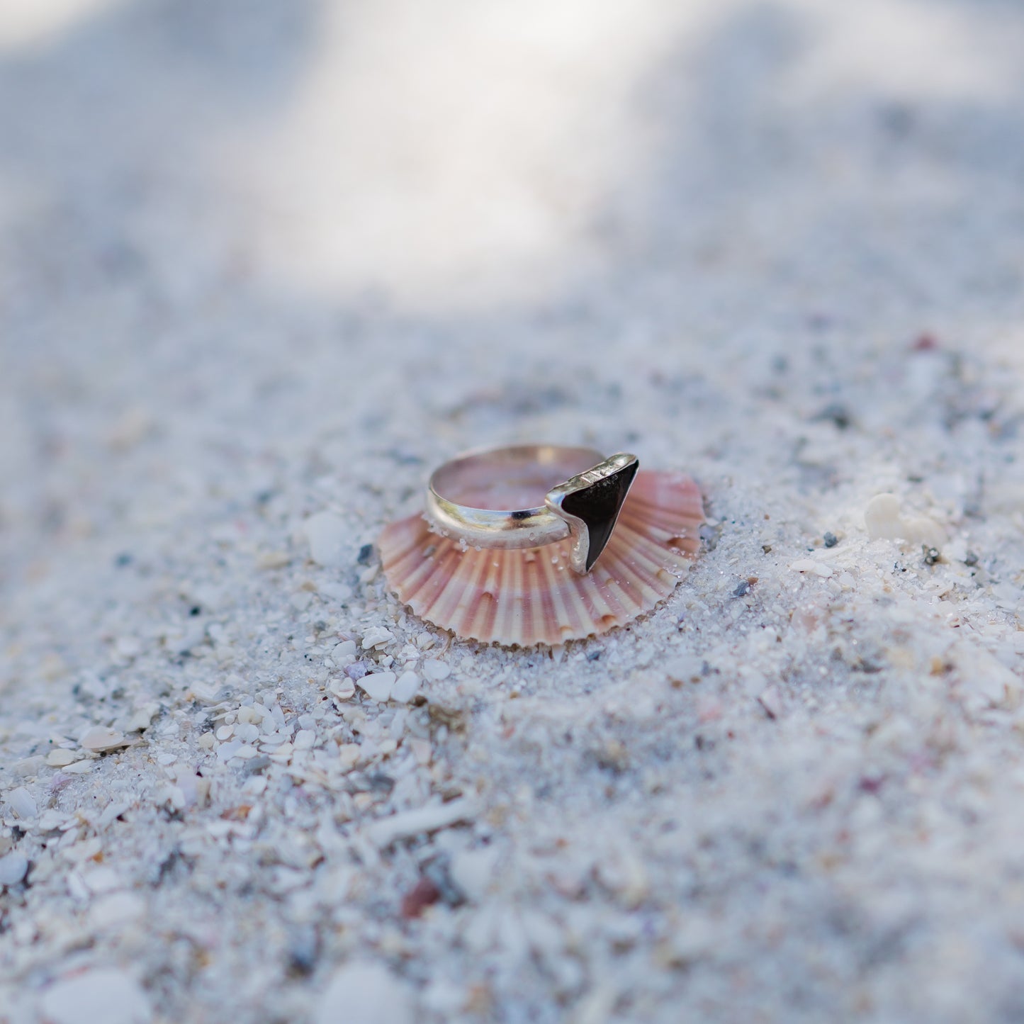 Fossilized Shark Tooth Ring - size 8.25