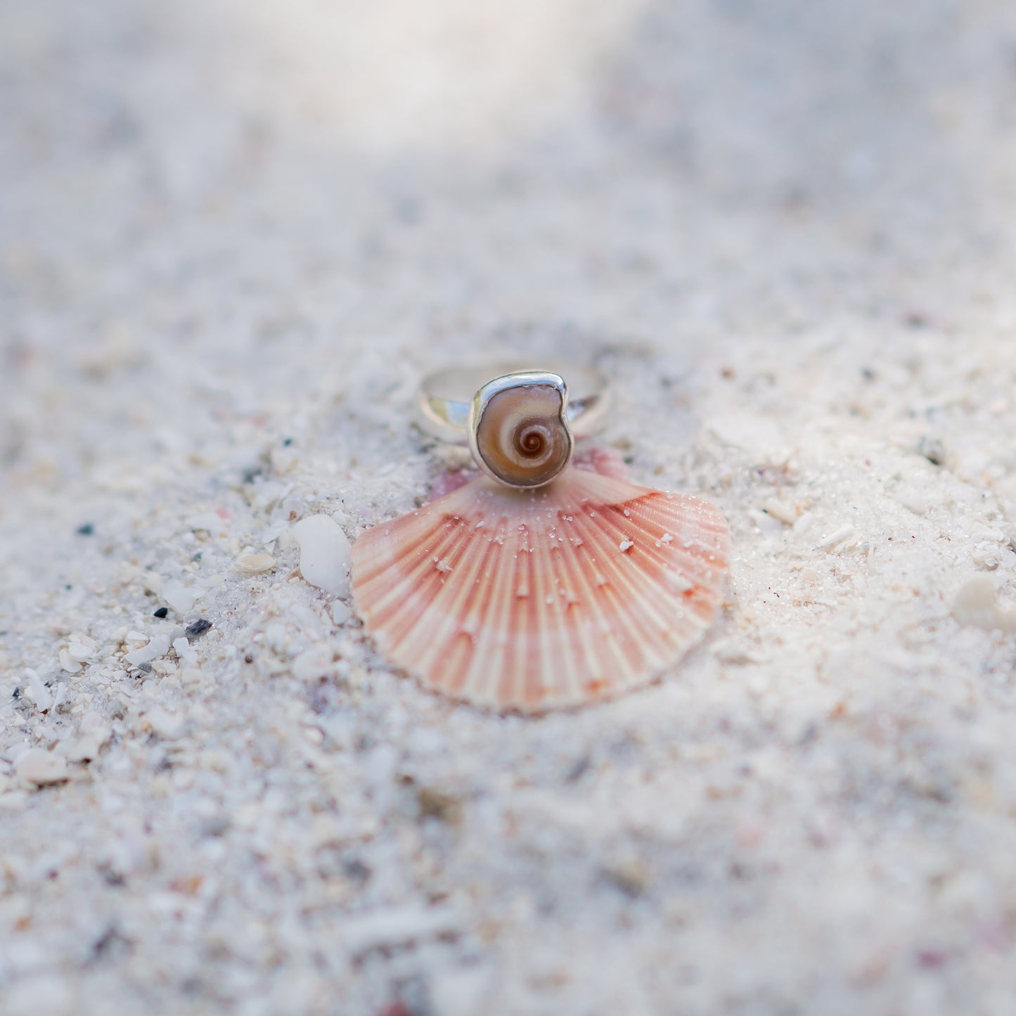 Moon Snail Ring - 8