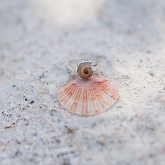 Moon Snail Ring - 8