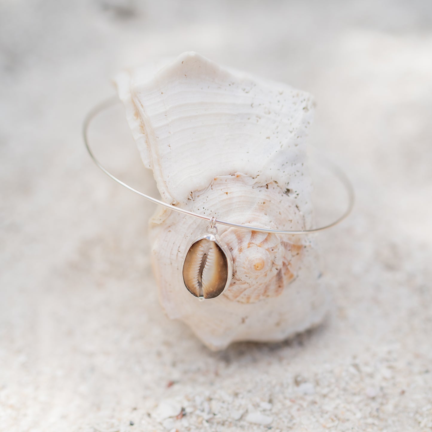 Cowrie Shell Choker Necklace