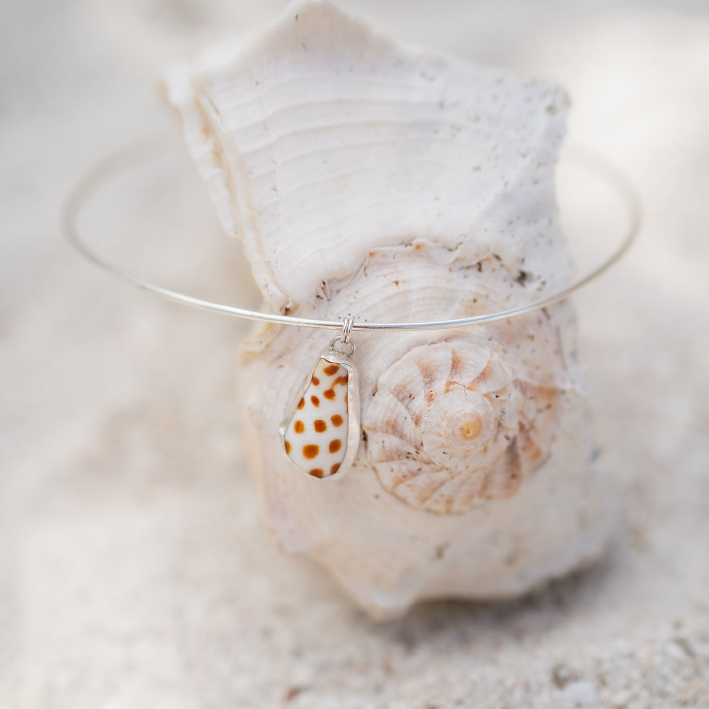Junonia Shell Choker Necklace