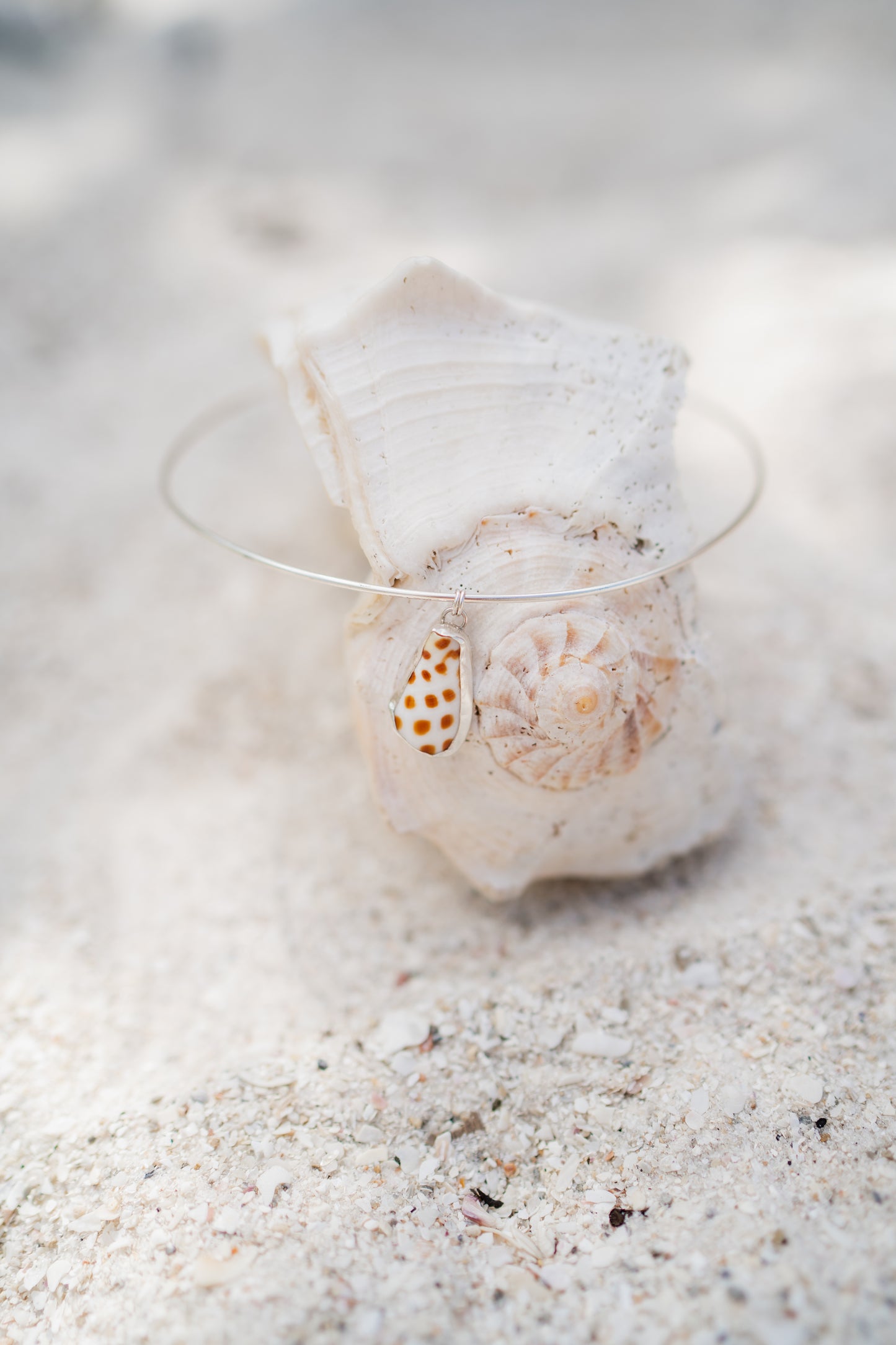 Junonia Shell Choker Necklace