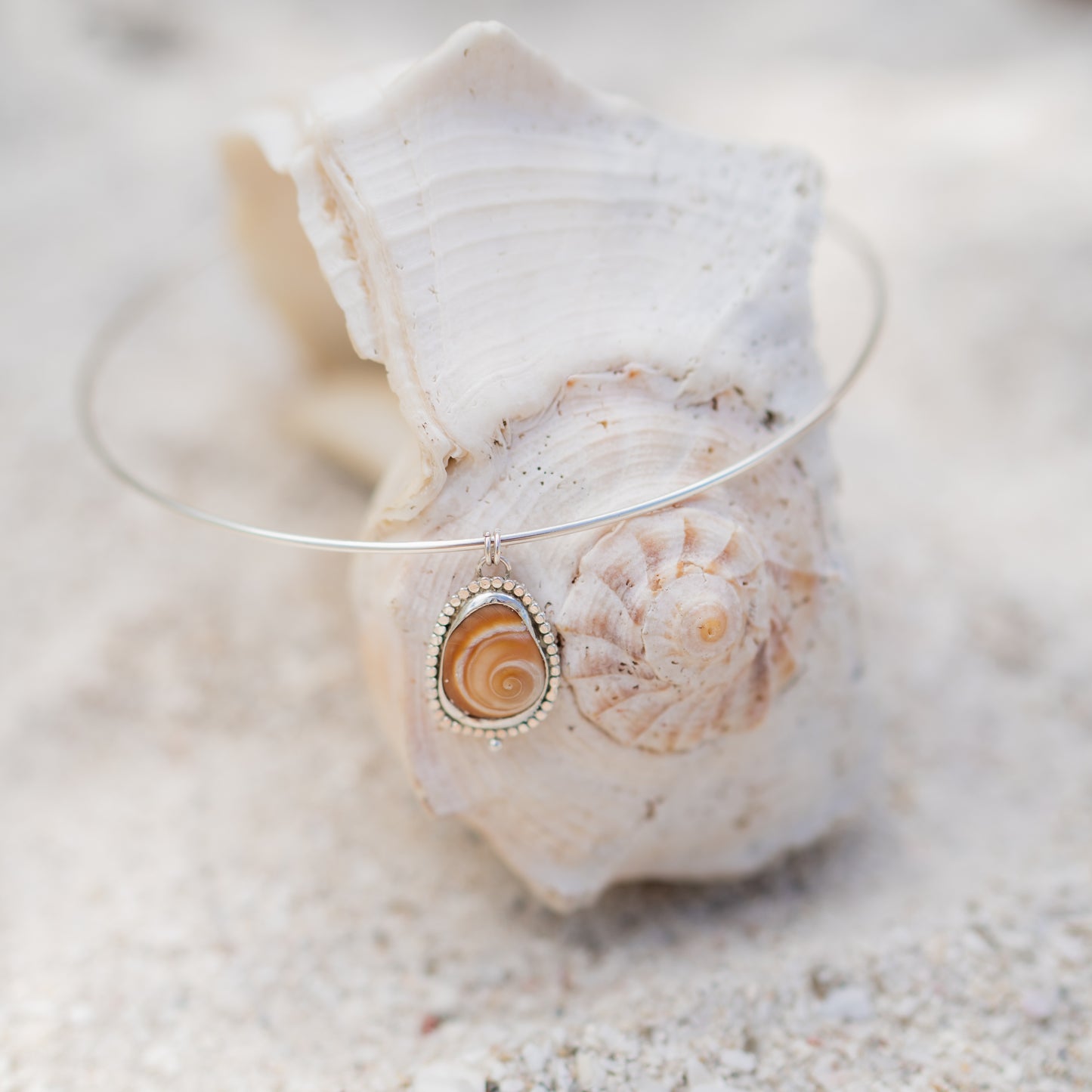 Moon Snail Choker Necklace