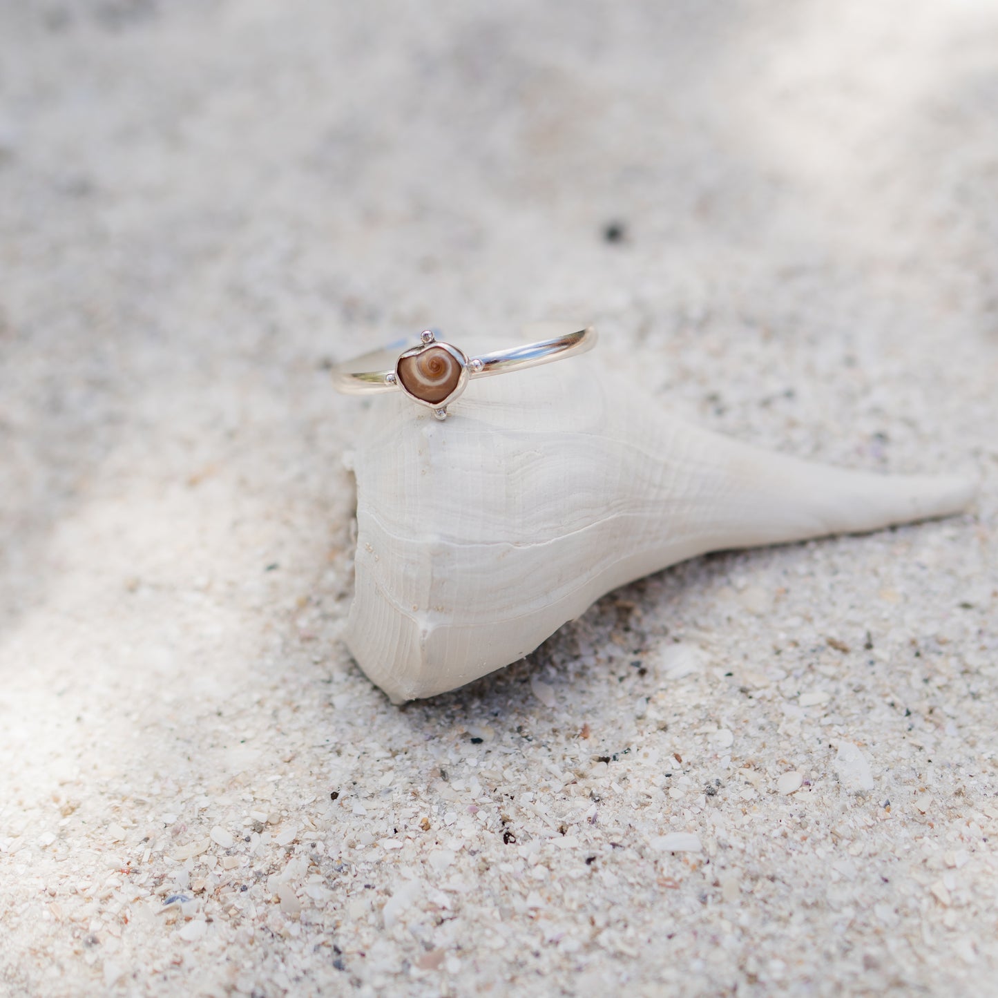 Moon Snail Shell Bracelet Cuff