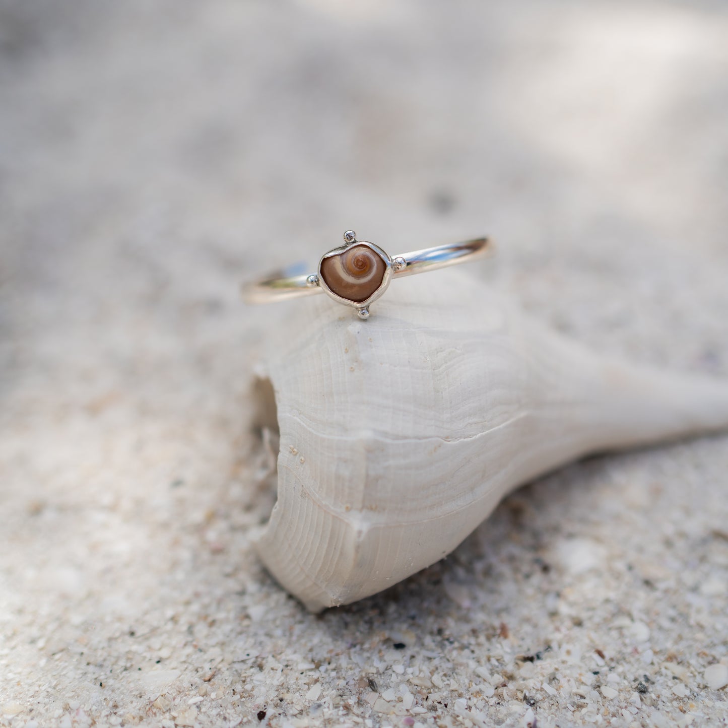 Moon Snail Shell Bracelet Cuff