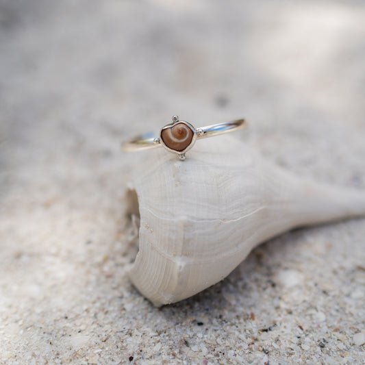 Moon Snail Shell Bracelet Cuff